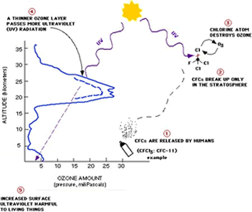 ozone depletion diagram